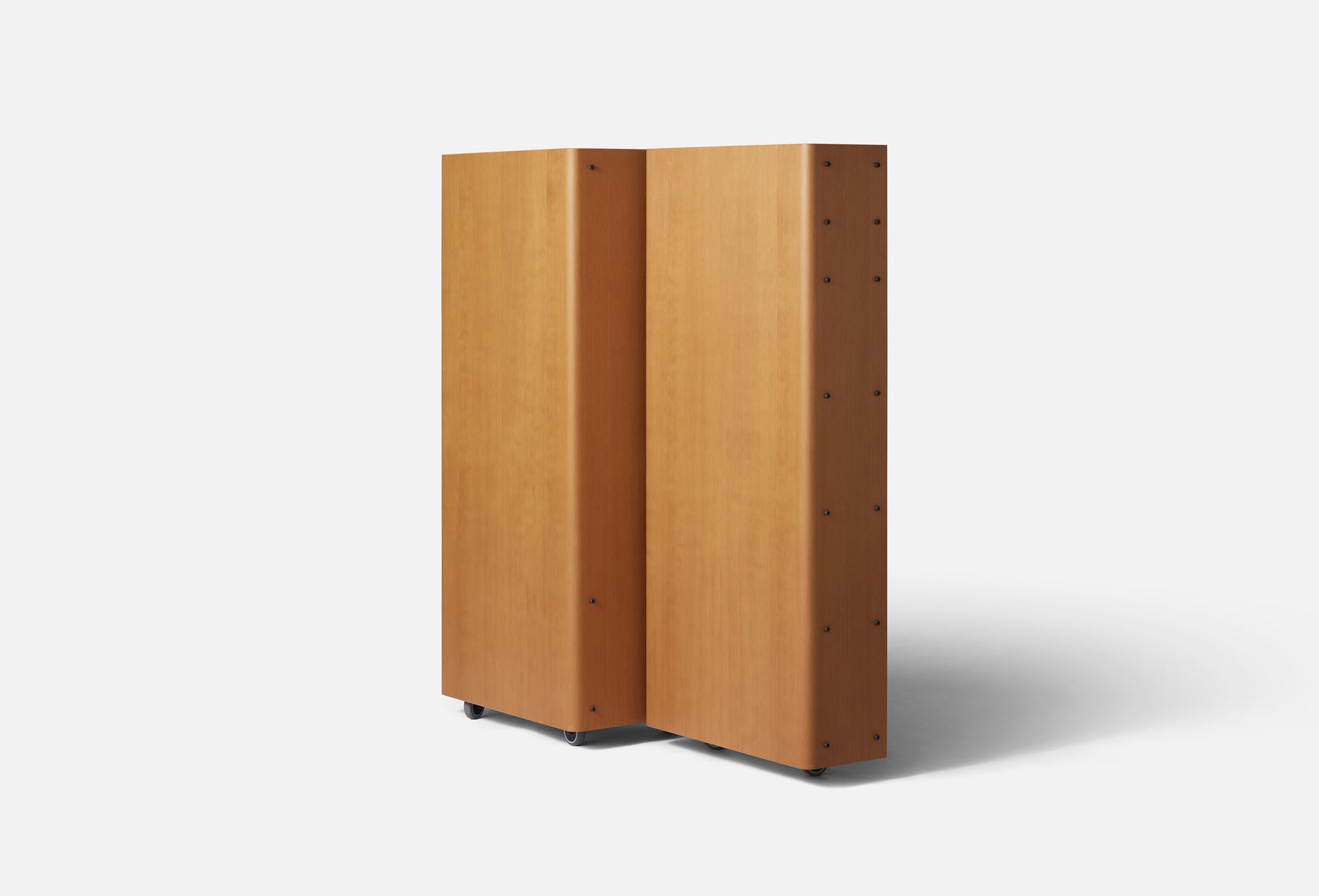Roller Cabinet in Oregon pine