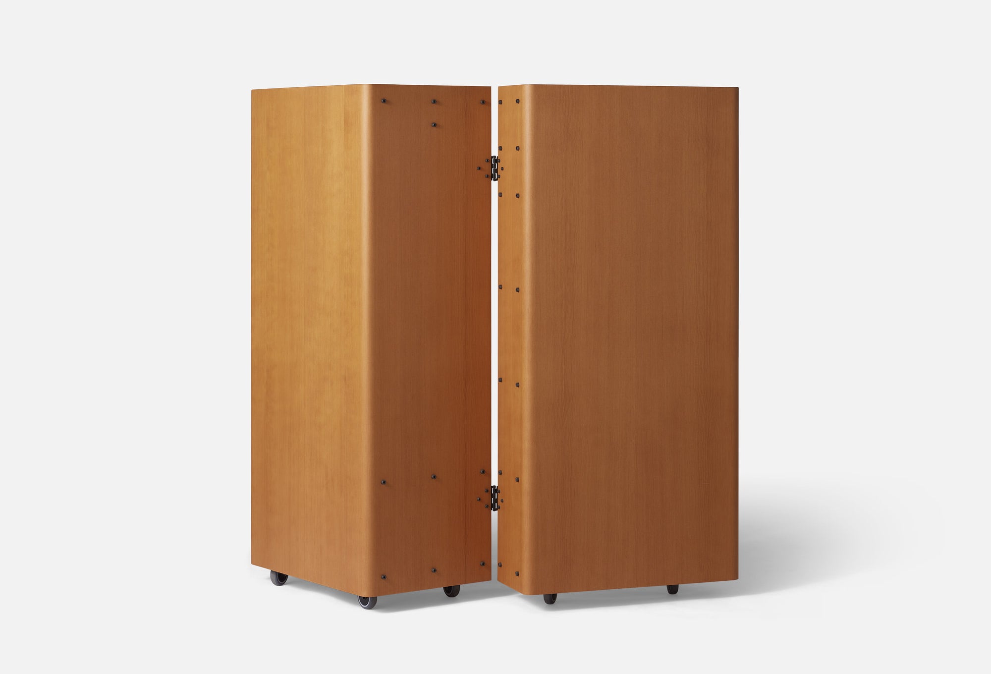Roller Cabinet in Oregon pine